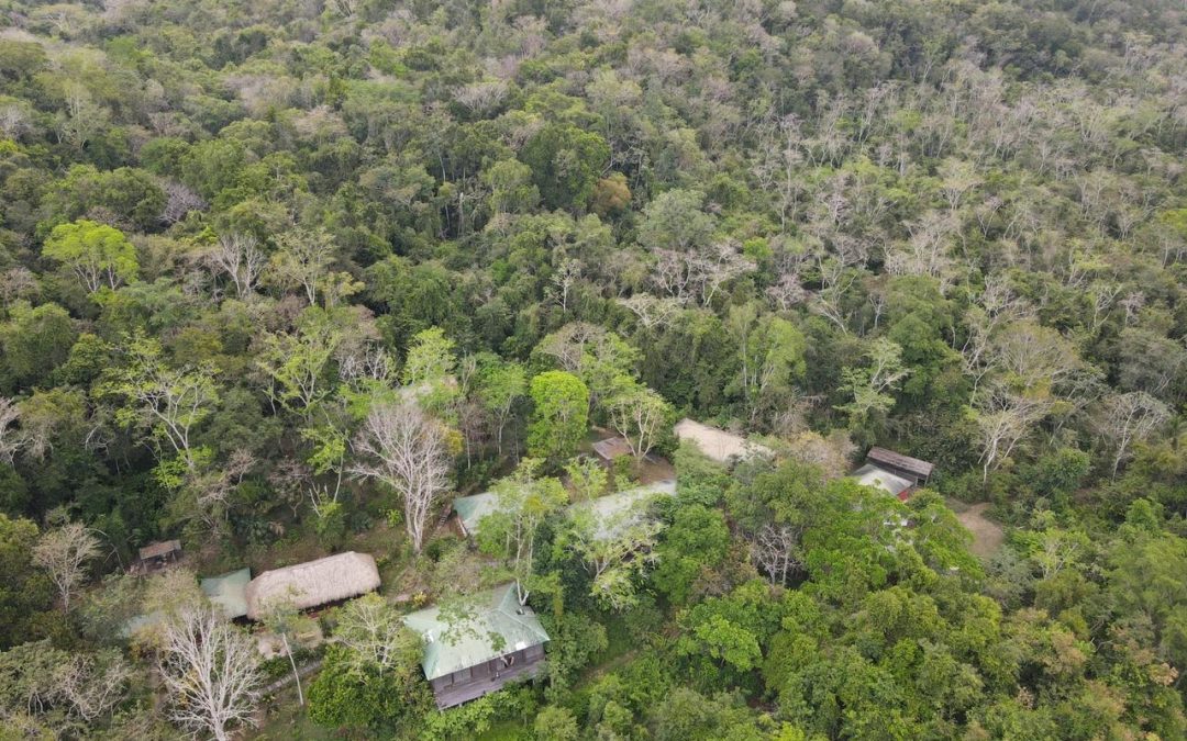 Estación Biológica Las Guacamayas, una herramienta para la conservación del patrimonio mixto en la zona este de la Laguna del Tigre, basado en alianzas estratégicas y oportunidades económicas.