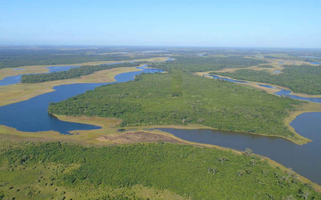 Consolidación de un Sistema de Protección Especial para la recuperación, restauración y conservación de la zona este del Parque Nacional Laguna del Tigre y su Corredor Biológico en la Reserva de Biosfera Maya