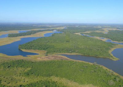 Consolidación de un Sistema de Protección Especial para la recuperación, restauración y conservación de la zona este del Parque Nacional Laguna del Tigre y su Corredor Biológico en la Reserva de Biosfera Maya