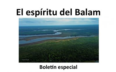 Boletín especial “El Espiritu del Balam”.