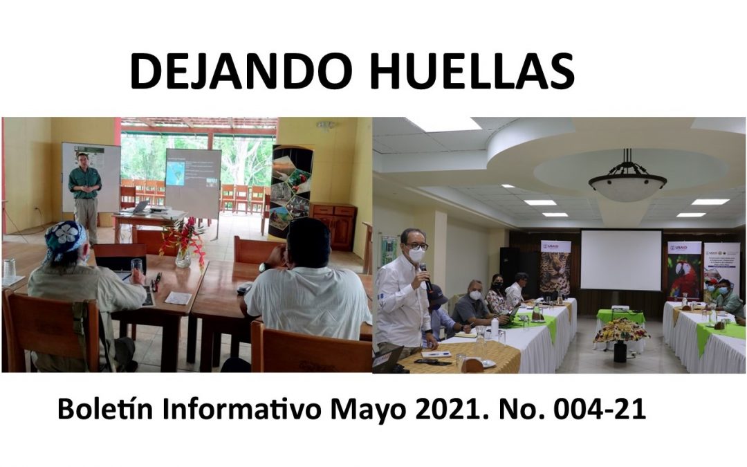 Boletín Informativo Balam Mayo 2021