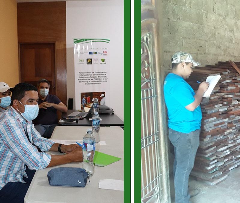 Guatemala: Apoyo a carpinteros para la compra y uso de madera legal