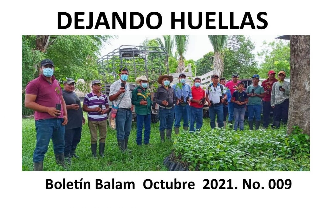 Boletín Informativo Balam  Octubre 2021
