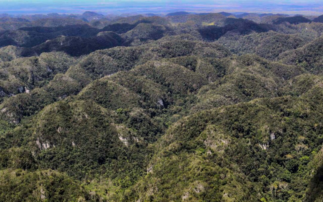 Se da continuidad a talleres de actualización de Estrategia de Protección Ambiental de la Reserva de Biosfera Montañas Mayas Chiquibul Guatemala/Belice