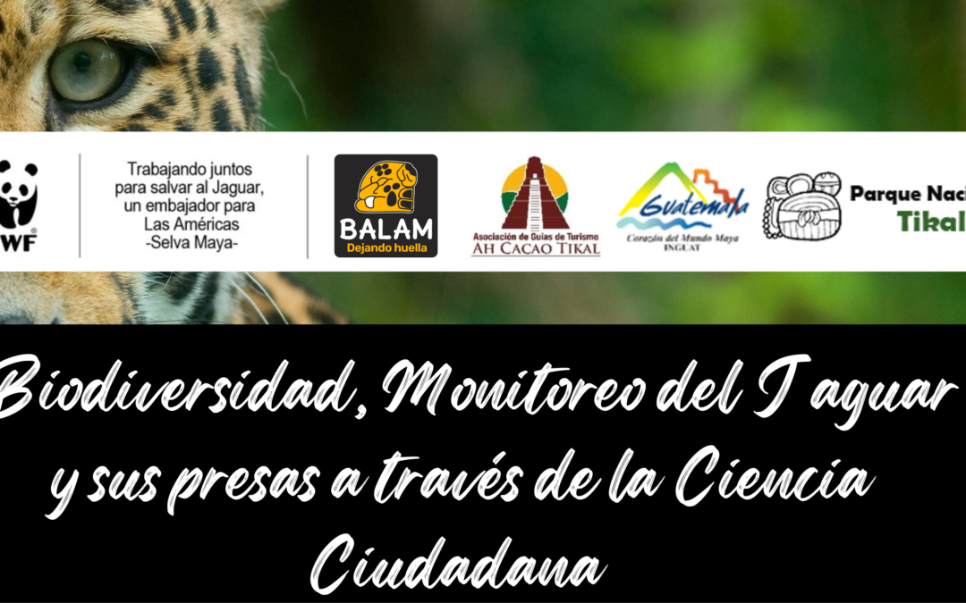 Capacitan a guías de turismo sobre biodiversidad, monitoreo del Jaguar y sus presas a través de la ciencia ciudadana