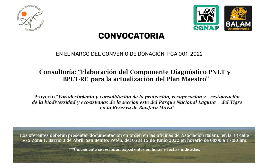 Ampliación de tiempo para  postularse en Consultoría: “Elaboración del Componente Diagnóstico PNLT y BPLT-RE para la actualización del Plan Maestro”