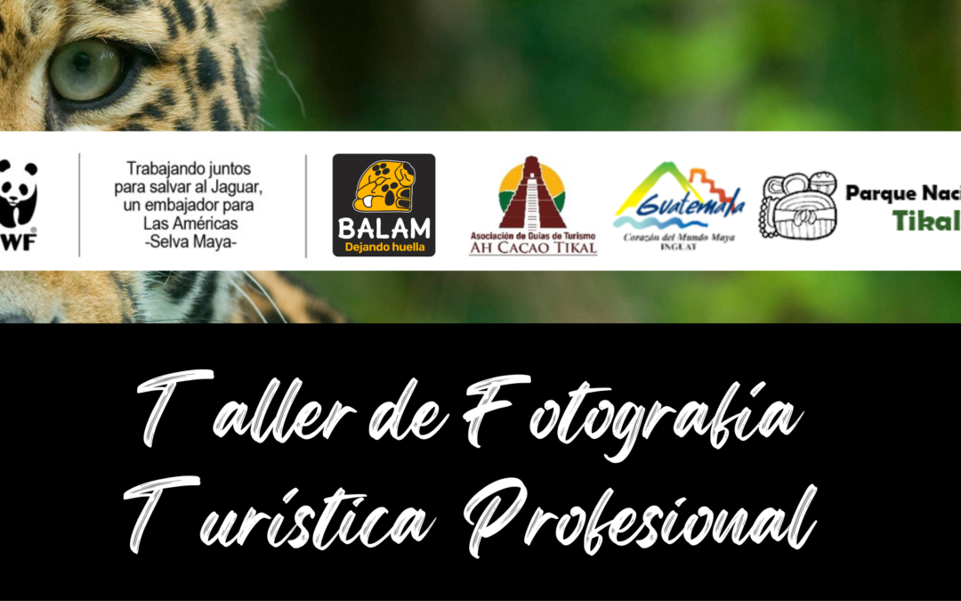 WWF y Asociación Balam brindan talleres de fotografía digital a guías de turismo de Asociación AH CACAO  TIKAL