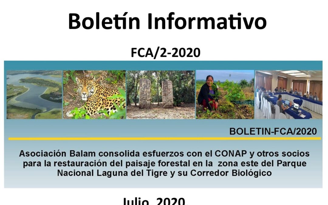 Boletín informativo FCA 2/2020