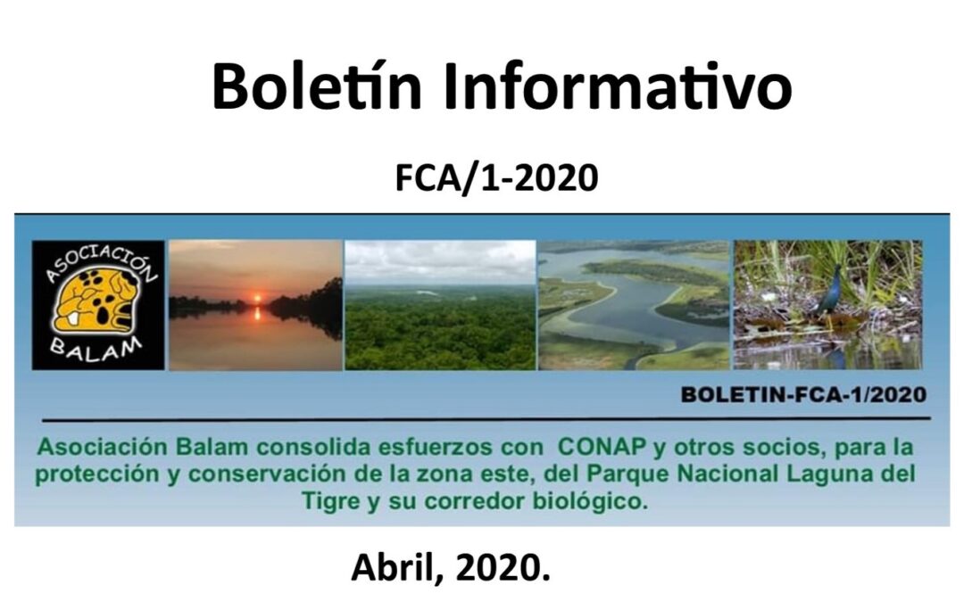 Boletín informativo FCA 1/2020