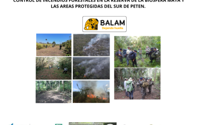 Aportes de Asociación Balam ONG para prevención y control de incendios forestales.