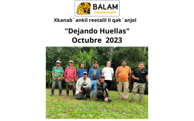 Boletín Informativo Balam ONG  Octubre 2023