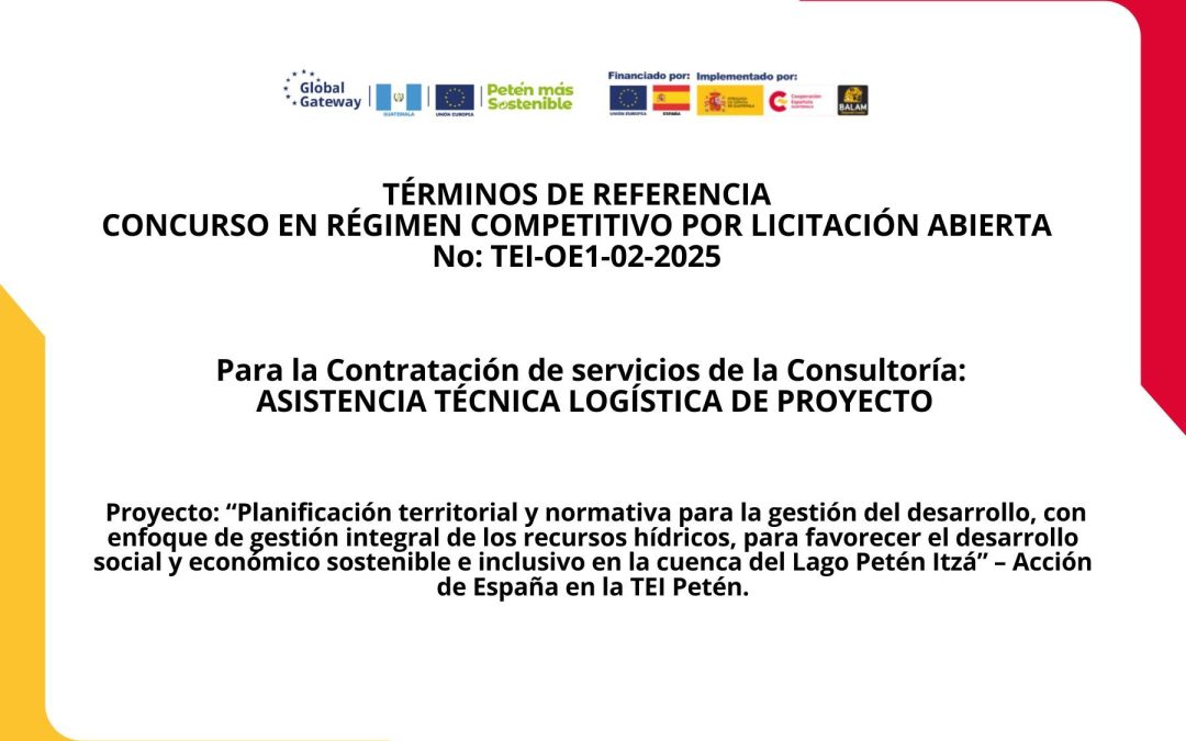Convocatoria para la contratación de ASISTENCIA TÉCNICA LOGÍSTICA DE PROYECTO, concurso en régimen competitivo por licitación abierta. No: TEI-OE1-02-2025