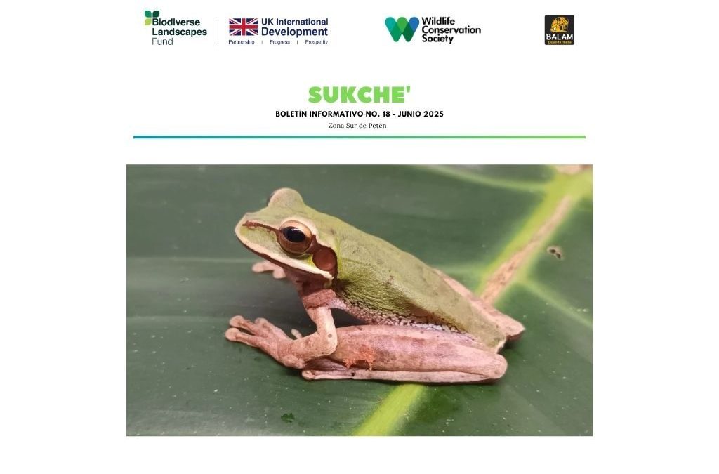 Boletín informativo Fondo de Paisajes Biodiversos junio 2025