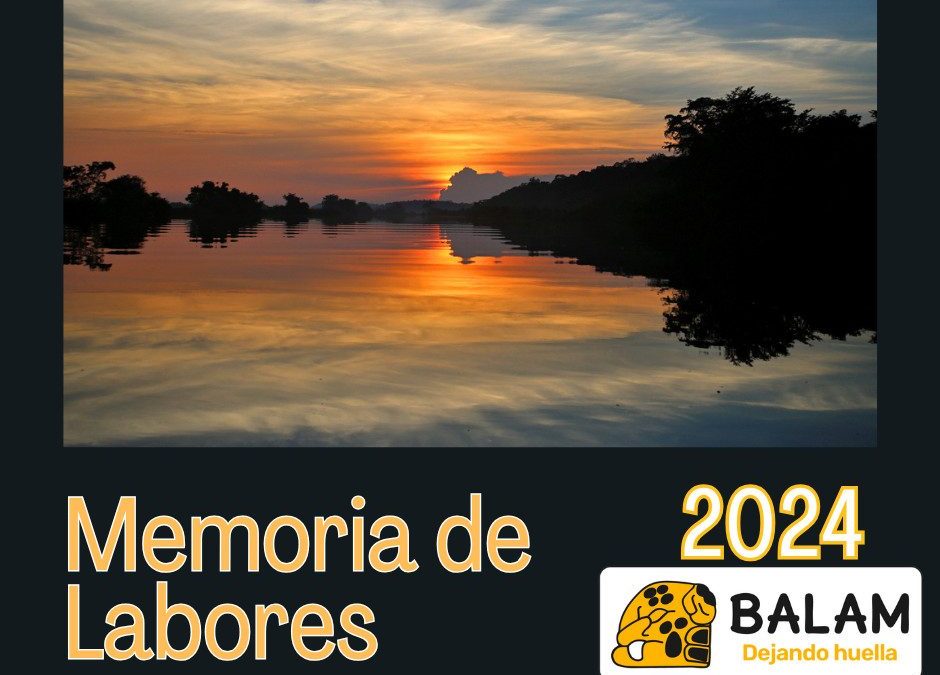 Memoria de labores 2024