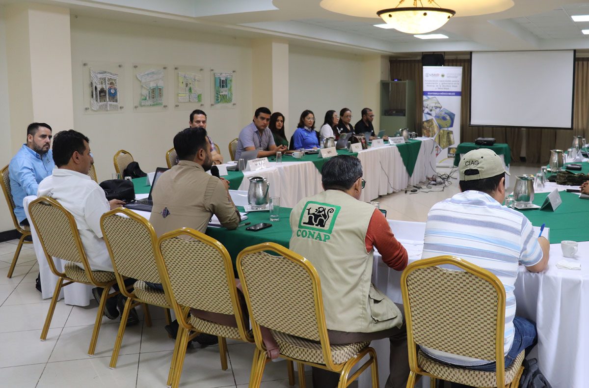 Apoyo a los comités de protección y restauración de áreas protegidas
