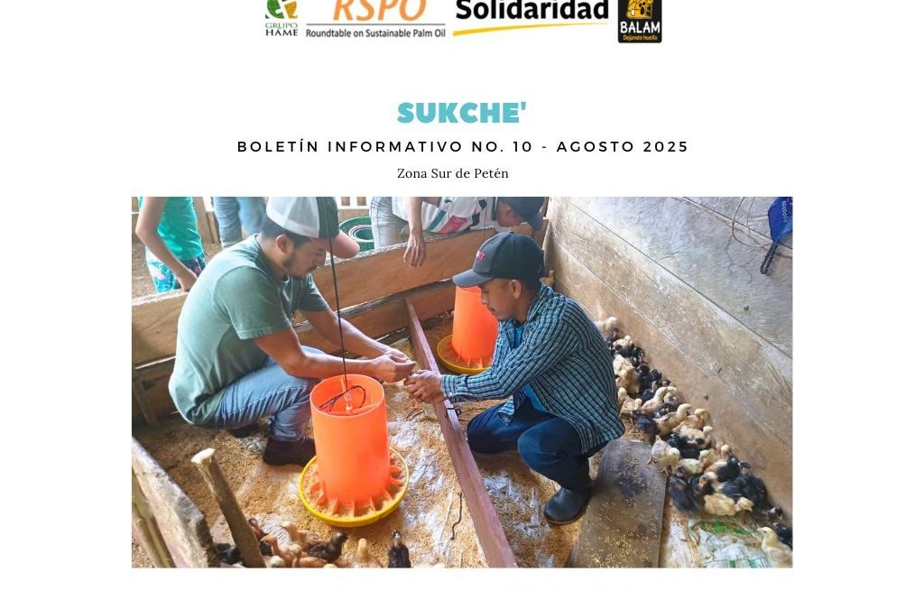 Boletín informativo Grupo HAME- Solidaridad, agosto 2025