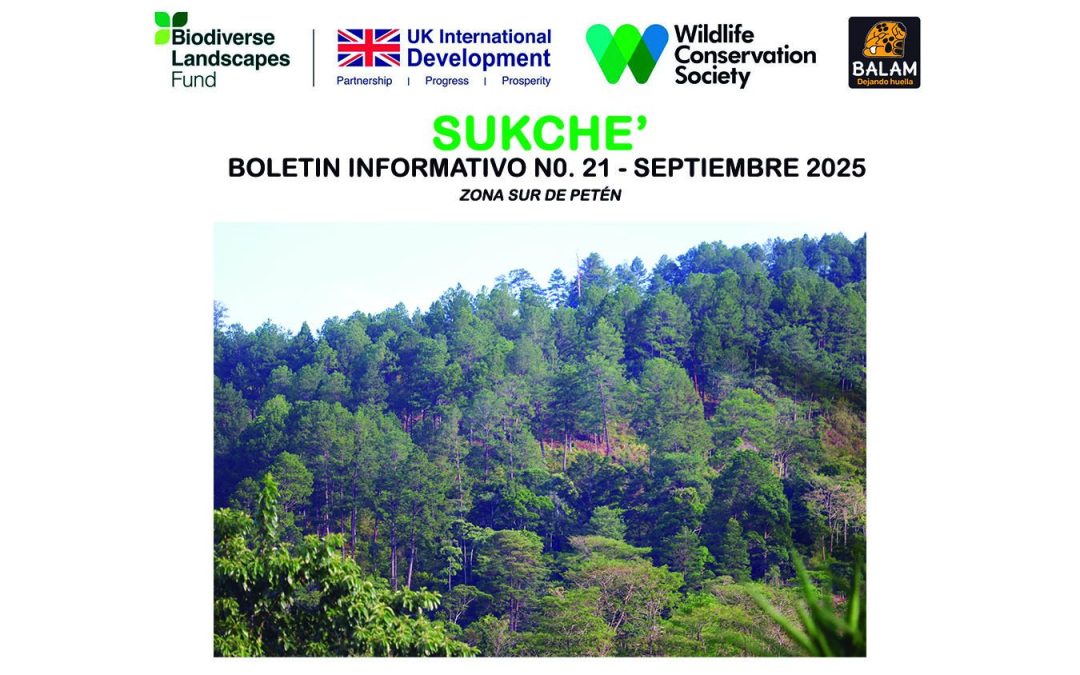Boletín Informativo BLF – Balam  Septiembre 2025