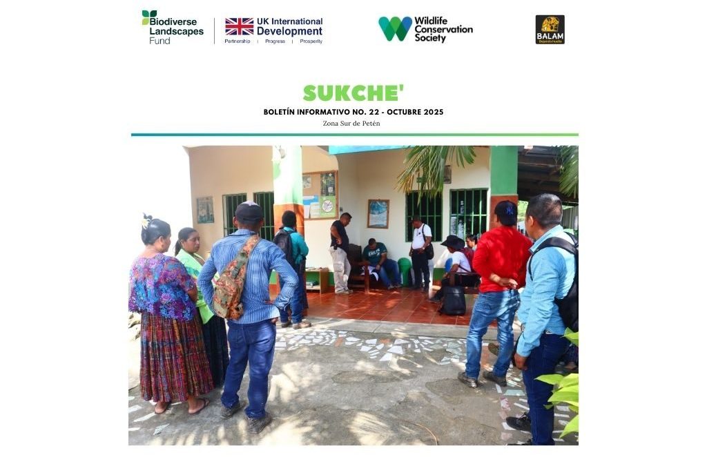 Boletín informativo BLF -BALAM ONG