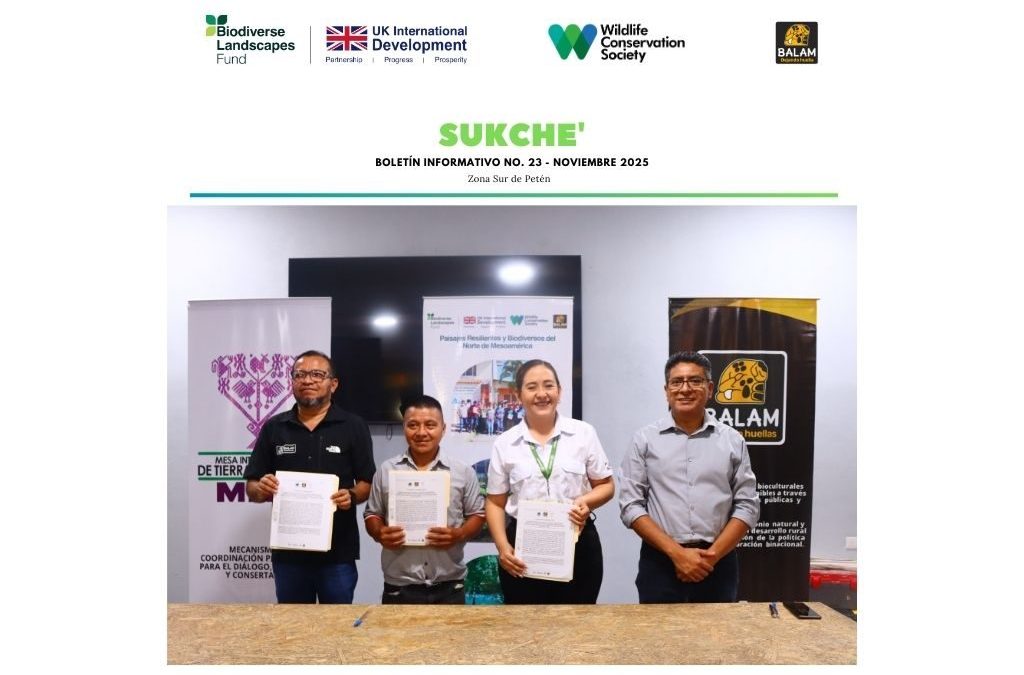 Boletín Informativo Fondo de Paisajes Biodiversos Nov 2025