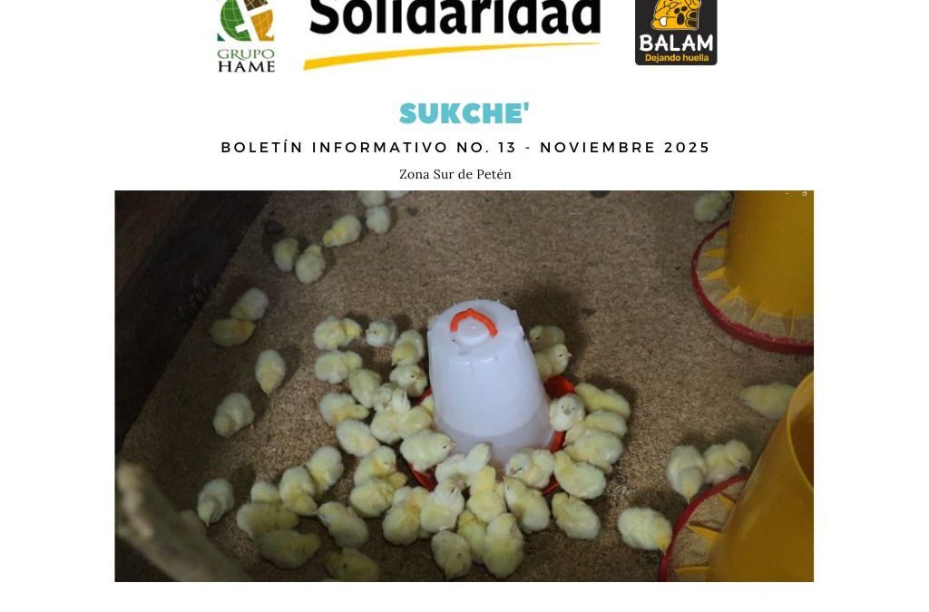 Boletín Informativo RSPO Nov 2025