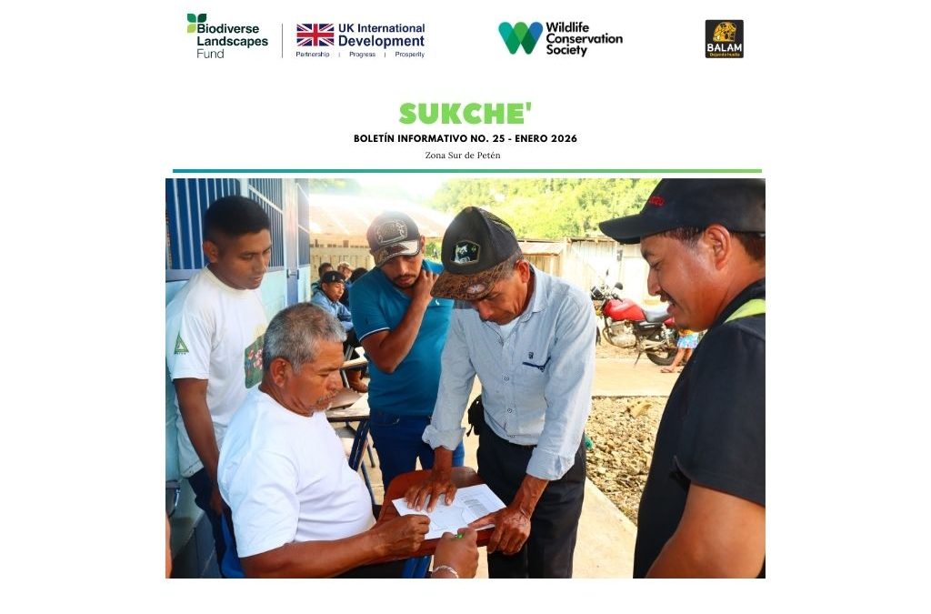 Boletín informativo BLF Enero 2026