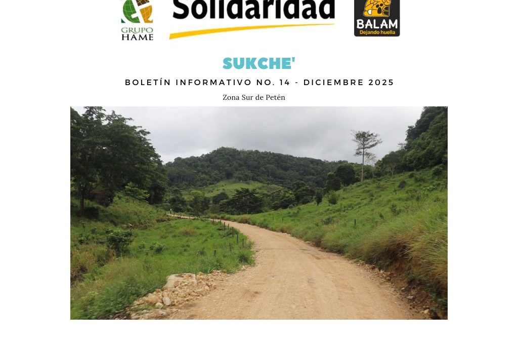 Boletin informativo RSPO diciembre 2025