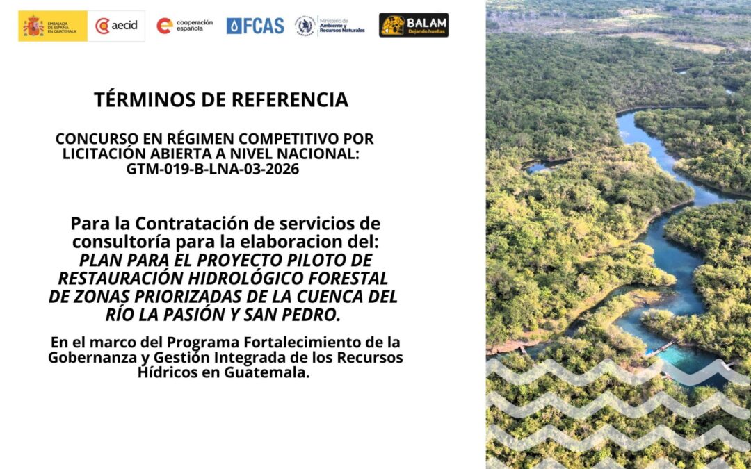 Convocatoria: