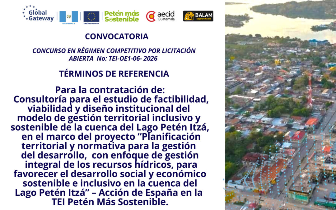 SEGUNDA CONVOCATORIA: CONCURSO EN RÉGIMEN COMPETITIVO POR LICITACIÓN ABIERTA No: TEI-OE1-06- 2026