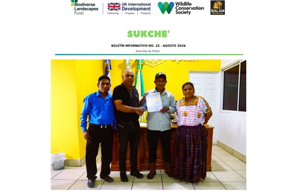 Boletín informativo agosto 26